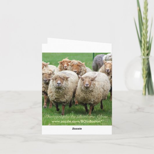 人生が起こる! カード (裏面)