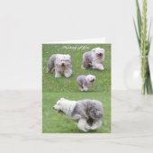 人生が起こる! カード (正面)