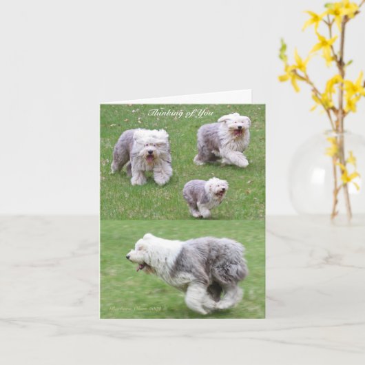 人生が起こる! カード (黄色い花)