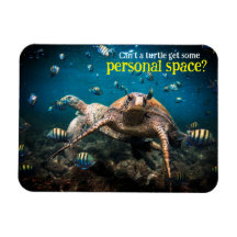 人生が辛くなったら泳ぐだけ保だ