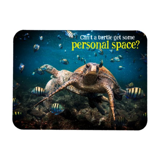 人生が辛くなったら泳ぐだけ保だ マグネット (横)