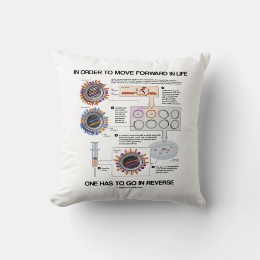人生で前に進むために逆のユーモアを行う クッション (正面)