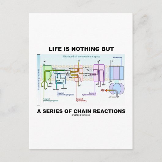 人生とは単なる一連の連鎖反応に過ぎない ポストカード (正面)
