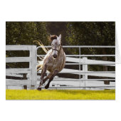 人生に対する熱意 (正面横)