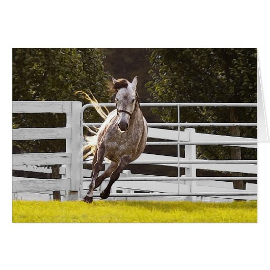 人生に対する熱意 (正面横)