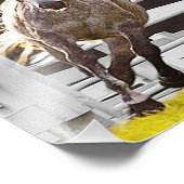 人生に対する熱意 フォトプリント            (角)