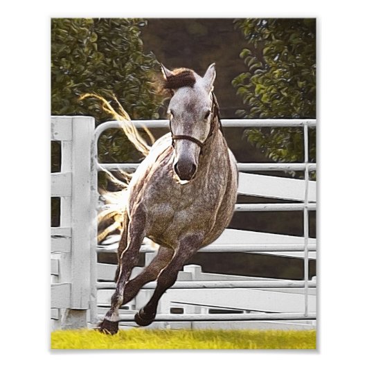 人生に対する熱意 フォトプリント            (正面)