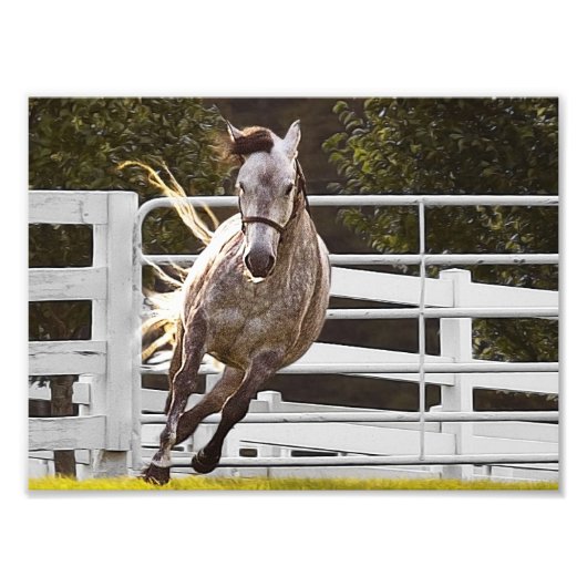 人生に対する熱意 フォトプリント (正面)