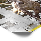 人生に対する熱意 フォトプリント (角)