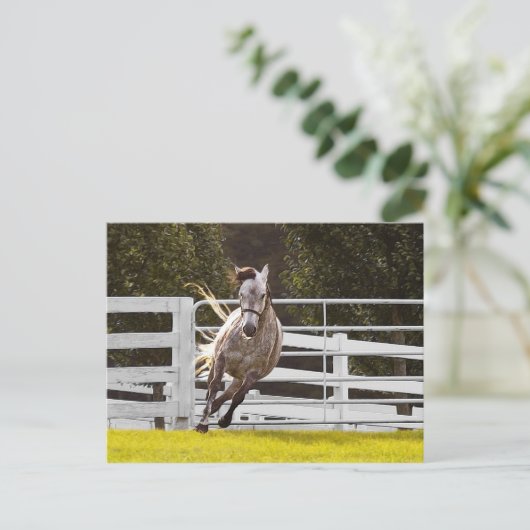 人生に対する熱意 ポストカード (スタンド正面)