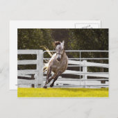 人生に対する熱意 ポストカード (正面/裏面)