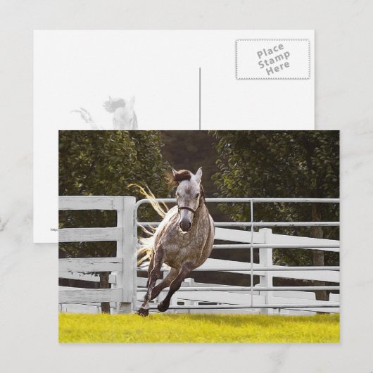 人生に対する熱意 ポストカード (正面/裏面)