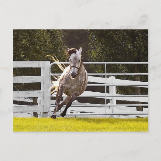 人生に対する熱意 ポストカード (正面)