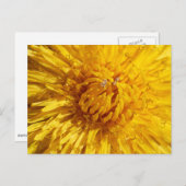 人生に少し黄色が必要だ ポストカード (正面/裏面)