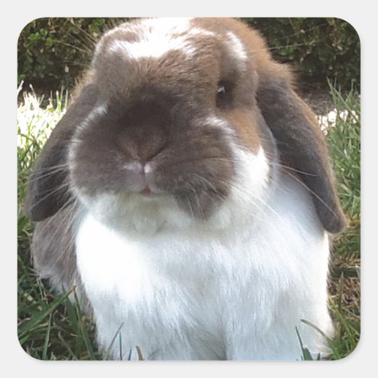 人生に激しさを持って行け! スクエアシール (正面)