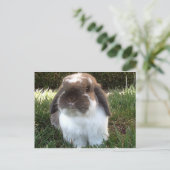 人生に激しさを持って行け! ポストカード (スタンド正面)