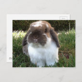 人生に激しさを持って行け! ポストカード (正面/裏面)