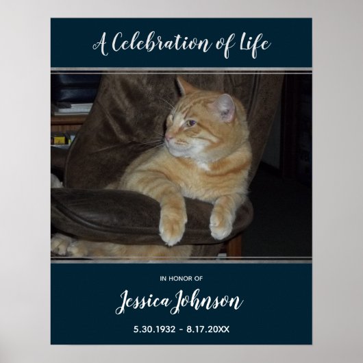 人生のお祝いの入り口の方法1写真 ポスター (正面)