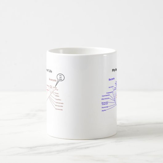 人生のの系統発生の木ここにいます(生物学) コーヒーマグカップ (中央)