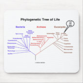人生のの系統発生の木ここにいます(生物学) マウスパッド (正面)