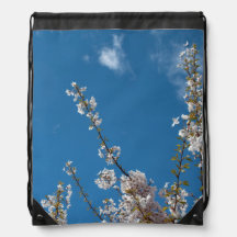 人生の喜び！春さくらんぼ枝