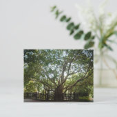 人生の始まり ポストカード (スタンド正面)