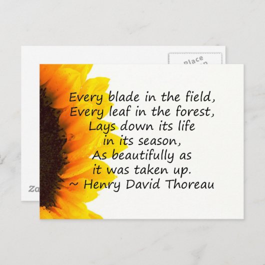 人生の季節 ポストカード (正面/裏面)