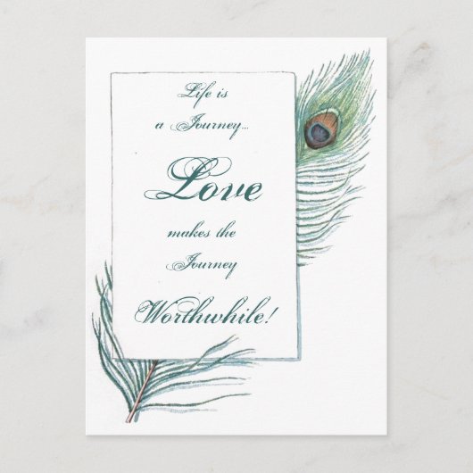 人生の旅の愛の価値のある感動的孔雀 ポストカード (正面)