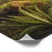 人生の旅 – 若者(1842)ファインアート ポスター (角)