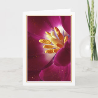 人生の盛り カード