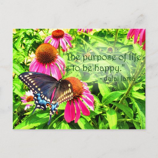 人生の目的ハッピーブラックアゲハチョウ蝶 ポストカード (正面)