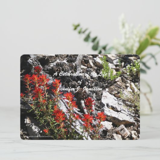 人生の祝祭 赤い花と岩 招待状 (スタンド正面)