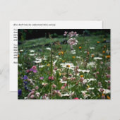 人生の自然を理解しなくてもいい ポストカード (正面/裏面)