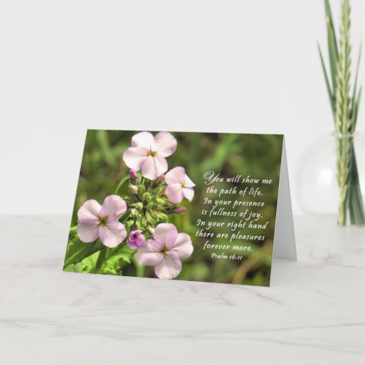 人生の道 – 聖なる書物、 経典カード サンキューカード (正面)