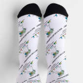 人生の青写真は?ショウジョウバエ生物学 ソックス (上部)