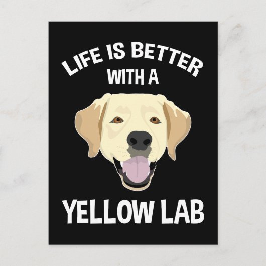 人生はイエロー・ラブラドール・レトリーバー ポストカード (正面)