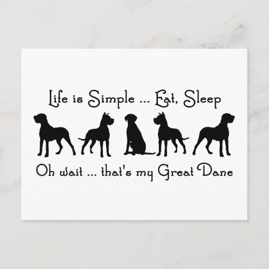 人生はシンプル食べ眠る偉大な犬のユーモア ポストカード (正面)