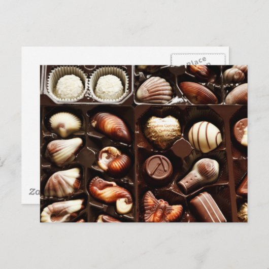 人生はチョコレートの箱のようなものだ ポストカード (正面/裏面)