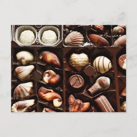 人生はチョコレートの箱のようなものだ ポストカード (正面)