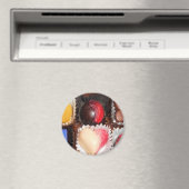 人生はチョコレートの箱のようなものだ マグネット (インサイチュ (食洗機))