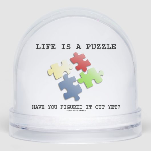 人生はパズルだと分かった？ (正面)