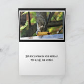 人生はピクニックじゃない!リスおもしろいル誕生日 カード (内部)