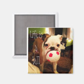 人生はボールだ！ マグネット (正面/裏面)