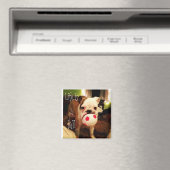 人生はボールだ！ マグネット (インサイチュ (食洗機))