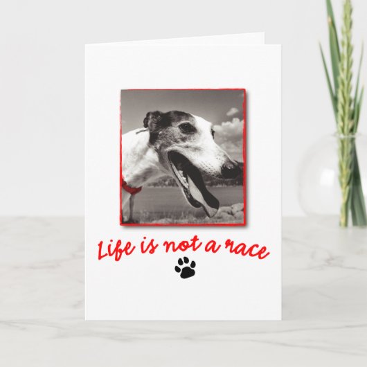 人生は人種ではない カード (正面)