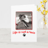 人生は人種ではない カード (黄色い花)