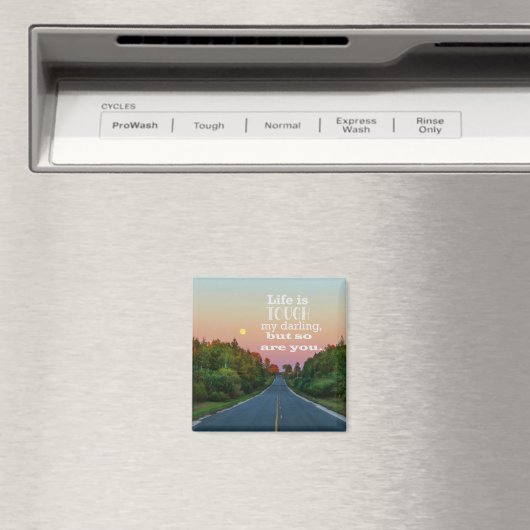 人生は厳しいが磁石は強い マグネット (インサイチュ (食洗機))