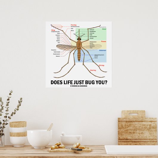 人生は君に迷惑を掛けるだけか(蚊の解剖学) ポスター (キッチン)