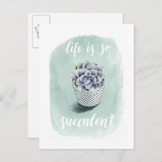 人生は多肉食だ ポストカード (正面/裏面)