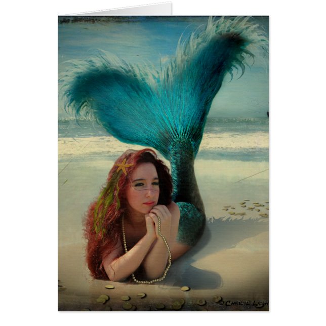 人生は夢にすぎない….. (正面)